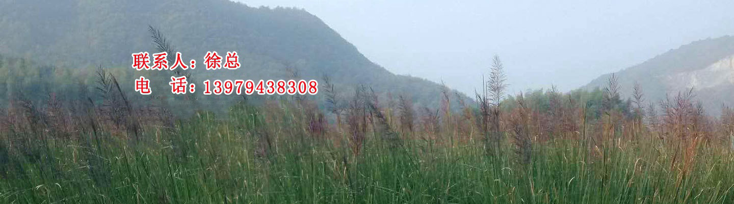 法蘭橡膠蝶閥